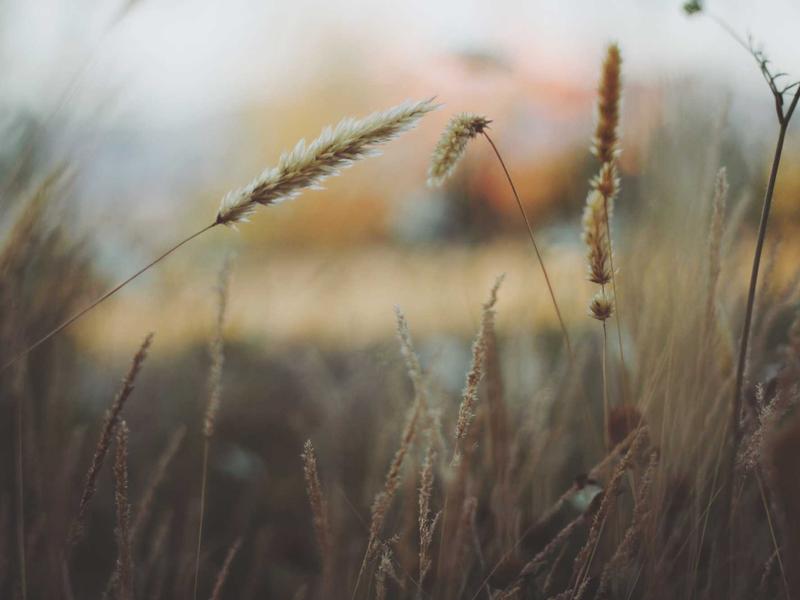 Nikon Z6III ボディ 美品 買取いたしました！